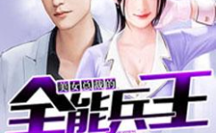 女总裁的全能兵王 小说,隐秘战线的守护者